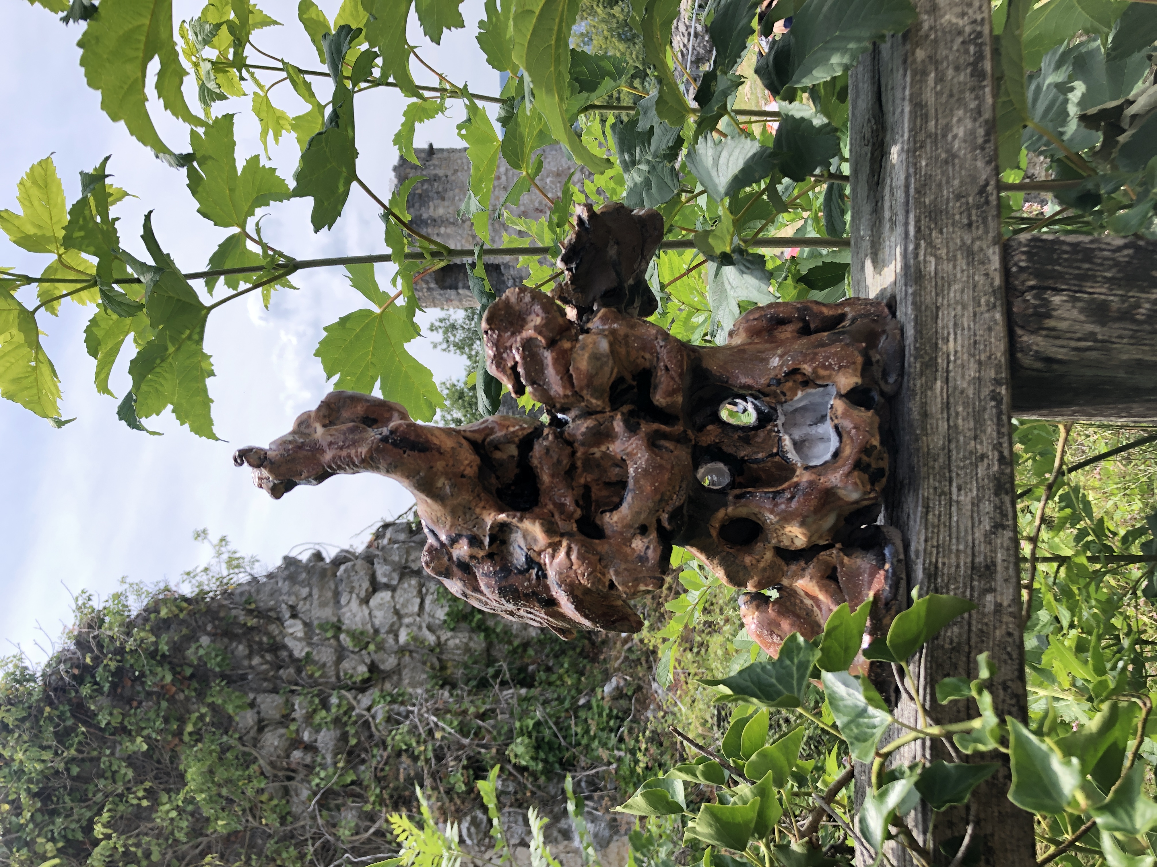 2019 07 YouDoYou With Paul Otis Wiesner, Dorneck, Dornach — IMG 3079 — Jeronim Horvat