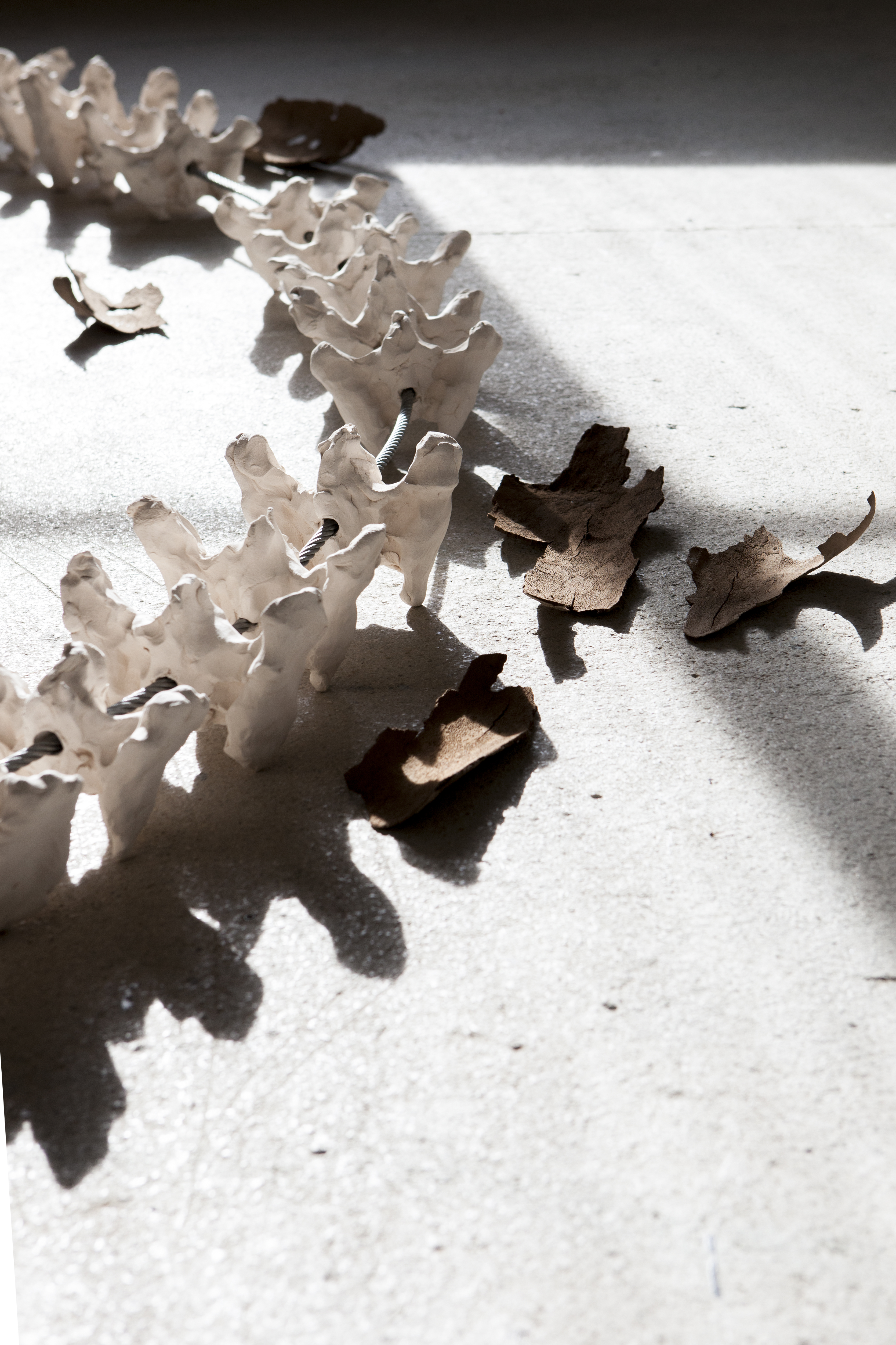 2019 02 BINZ39 Foundation, Zurich — 2 Bearbeitet — Jeronim Horvat