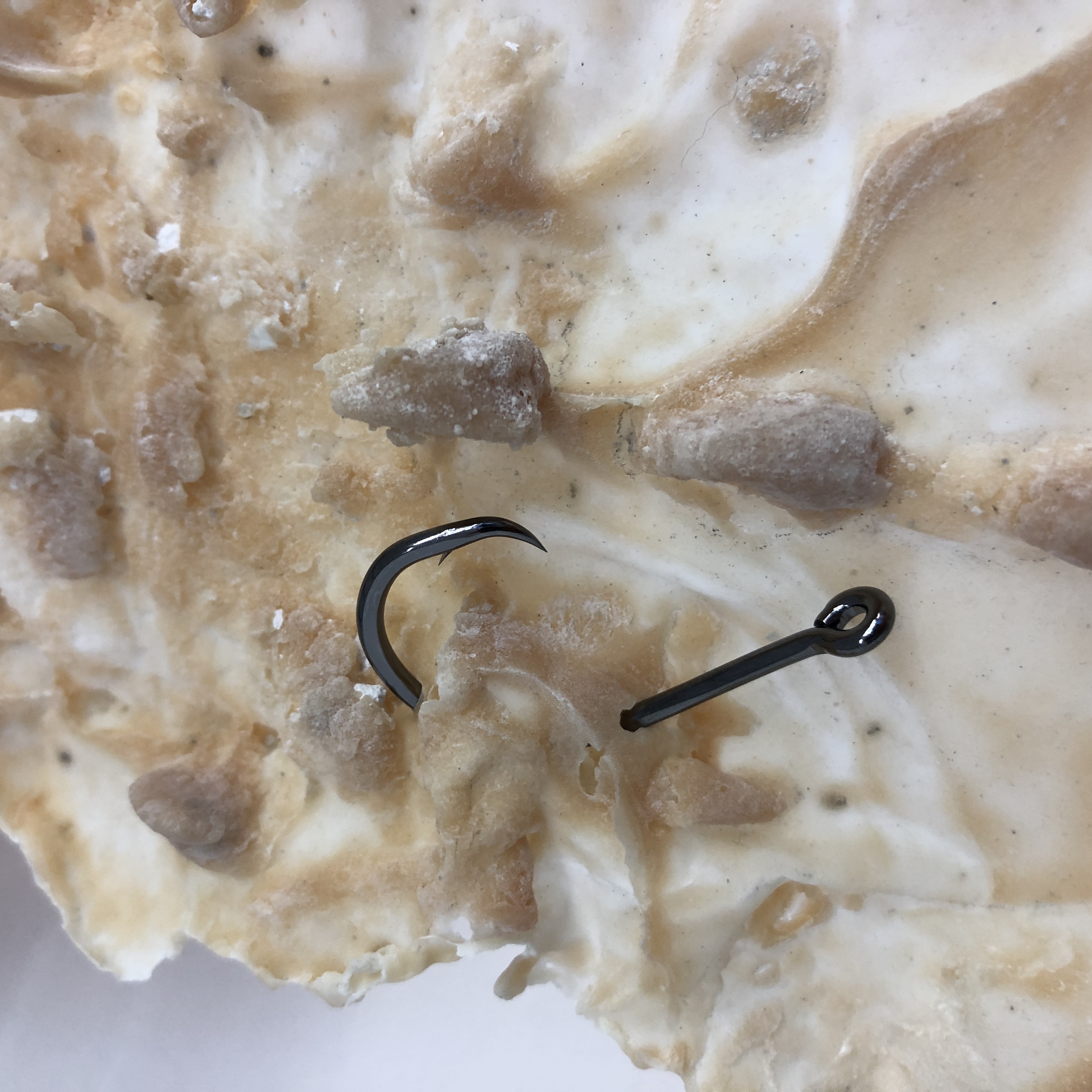 2019 07 Hotdock Project Space, Bratislava — IMG 2720 — Jeronim Horvat