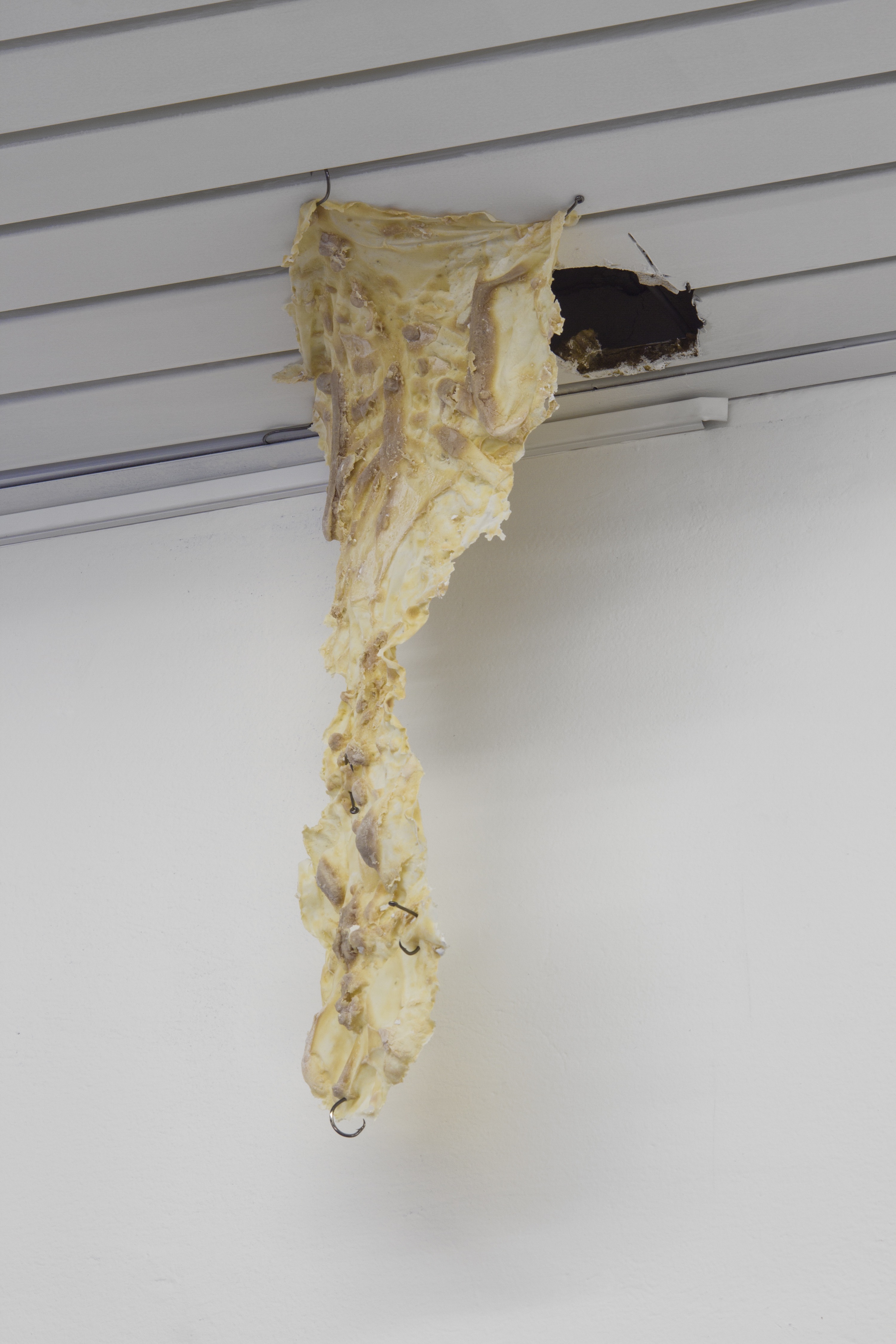 2019 07 Hotdock Project Space, Bratislava — MGL4387 — Jeronim Horvat