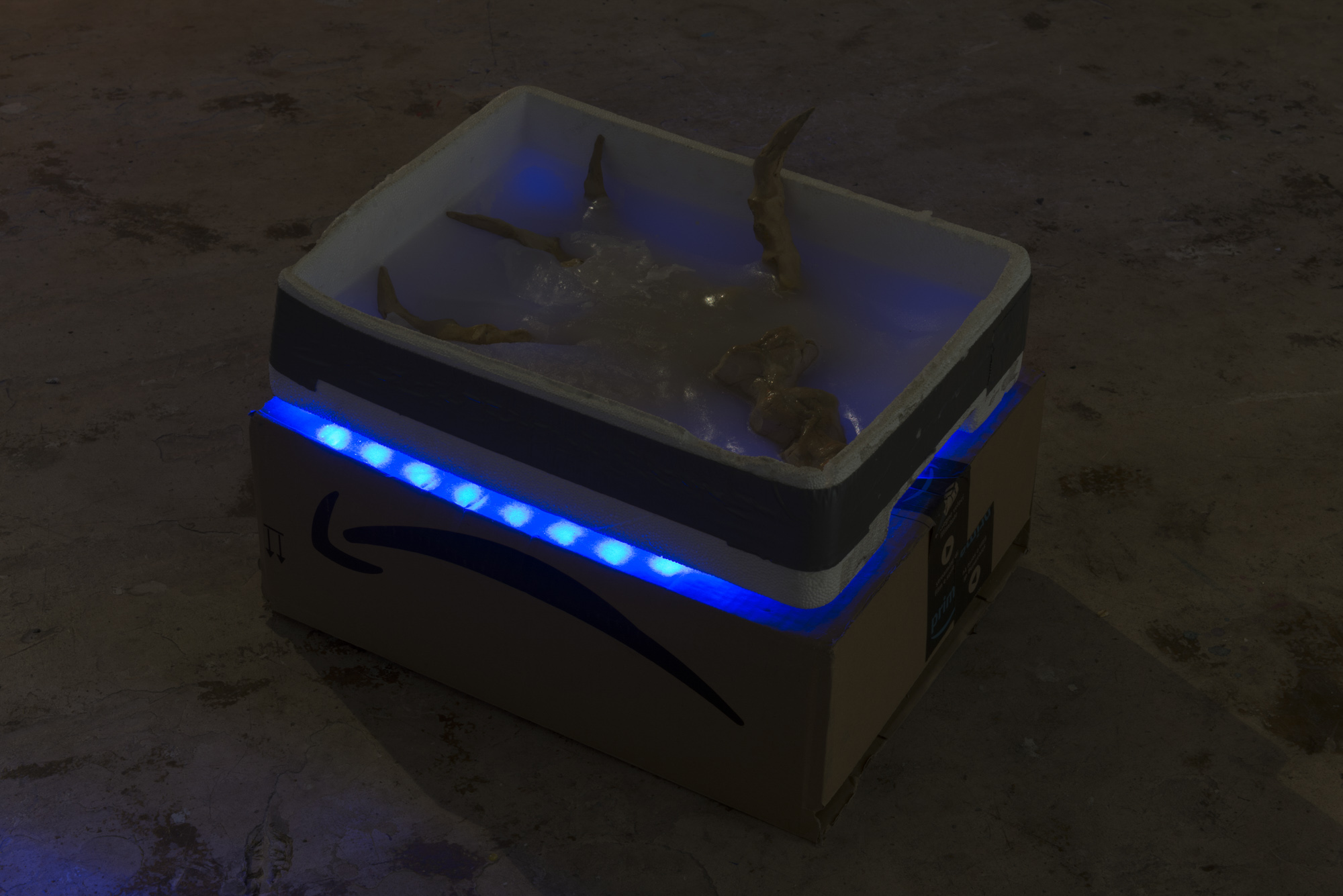 2020 12 Sattelkammer, Bern — Sattelkammer Jeronim Horvath Nov 2020 02 — Jeronim Horvat