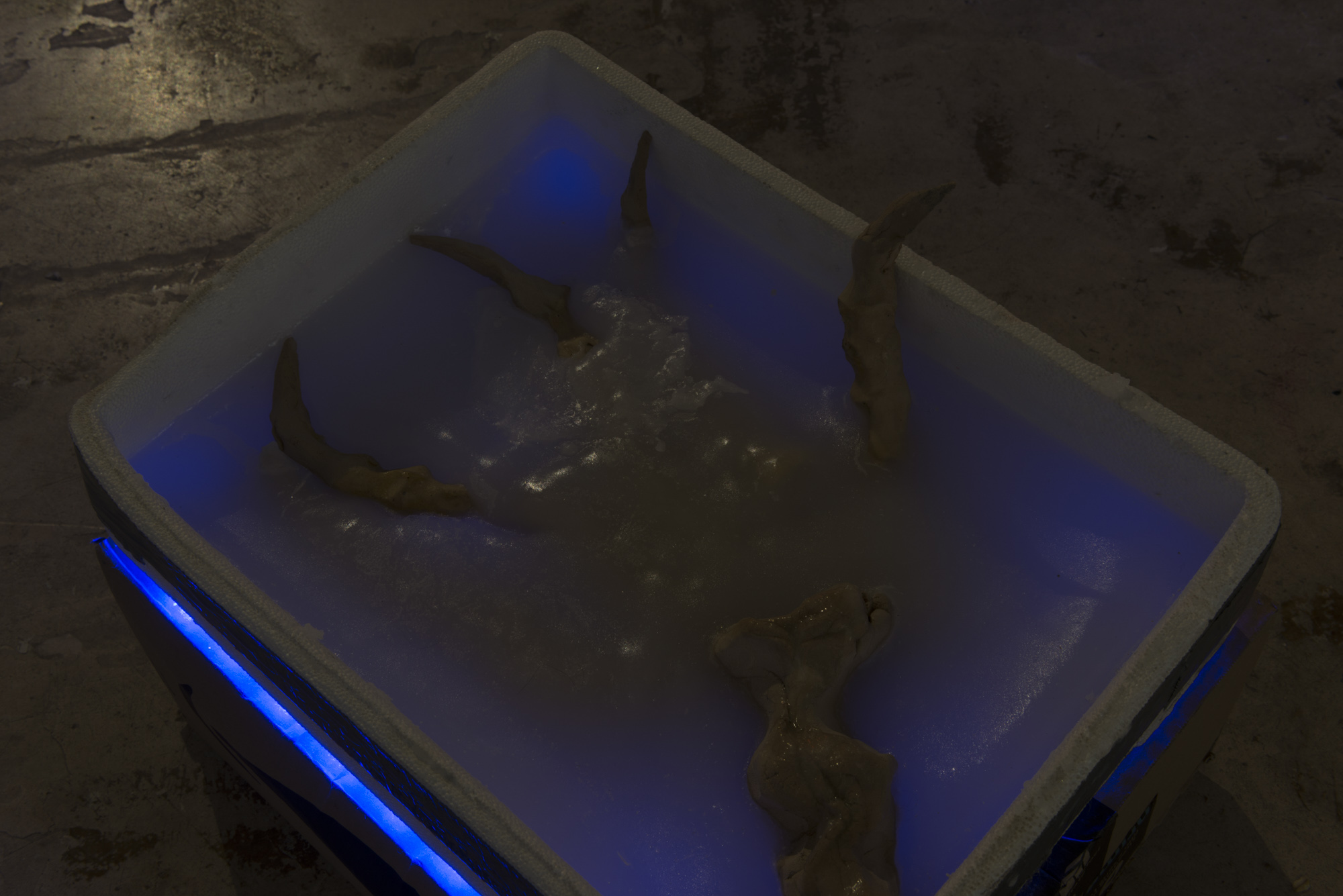 2020 12 Sattelkammer, Bern — Sattelkammer Jeronim Horvath Nov 2020 03 — Jeronim Horvat